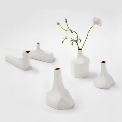 Art Piece Vase (5 Types)