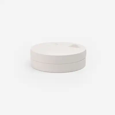 Record of Flaws - Ink Stone Box (1p)