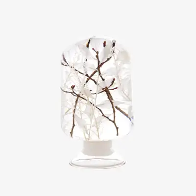 Herbarium - Snow Forest