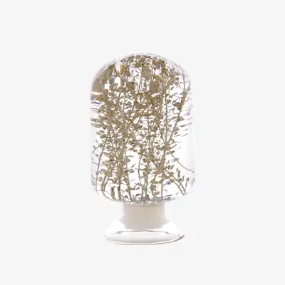 Herbarium - Silver Bell