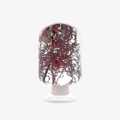 Herbarium - Pink Forest