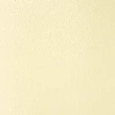 Rainbow LX_L 206