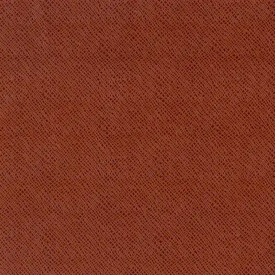 Leather Like_S 676