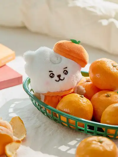 BT21 RJ Baby Orange Party Small Plush Doll