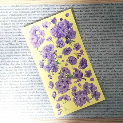 [17]パープル ブロッサム
