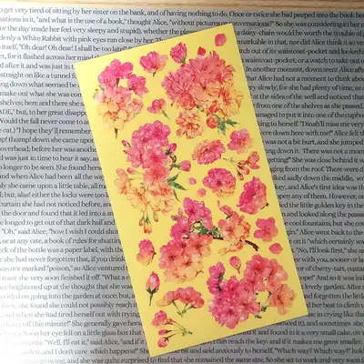 [17]ピンクイエロー ブロッサム