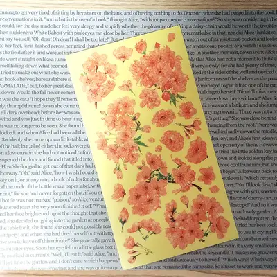 [17]オレンジ ブロッサム