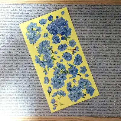 [17]ブルー ブロッサム