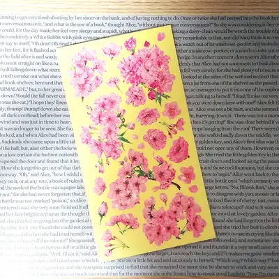 [17]ピンク ブロッサム