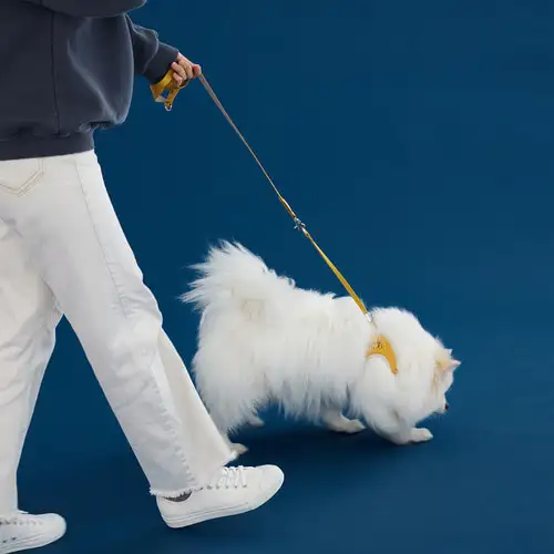 러프러프双色绳索 M — 3