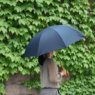 lifestudio 自动长雨伞 木制伞柄 - 6色