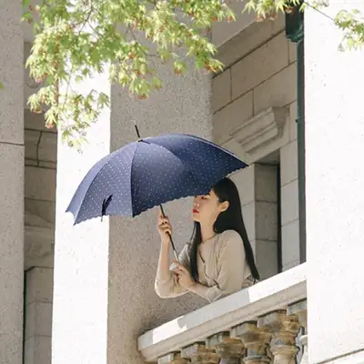 because Long Umbrella 長傘