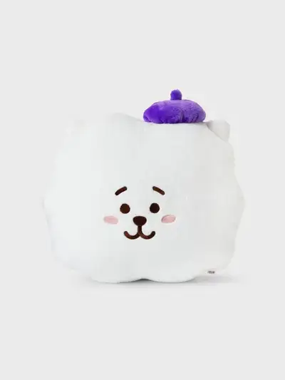 BT21 RJ ホップインラブ フェイス クッション