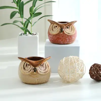 カラー アングリー フクロウ 多肉植物鉢セット 2p