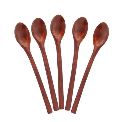 Brown Lacquered Wooden Spoon 5-Piece Set | Natural Wood Spoons