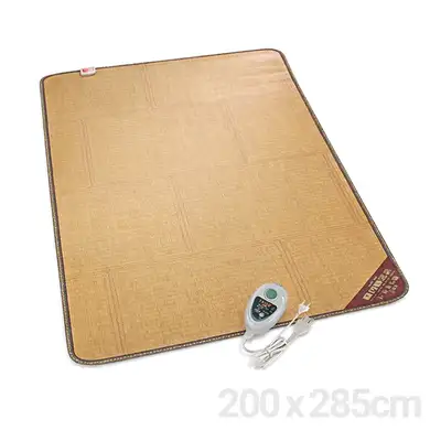 200cm x 285cm Living Room Premium Electric Heating Mat (Firewood Aesthetic Winter Ondol Floor Dual-Zone Heating Electric Pad)