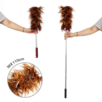 Adjustable Length Feather Duster with Chicken Feathers