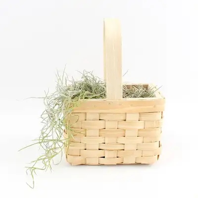 Rectangular Handle Wooden Basket | Halloween Candy Pouch, Candy, Korean Sweets, Rice Cake, Egg, Songpyeon
