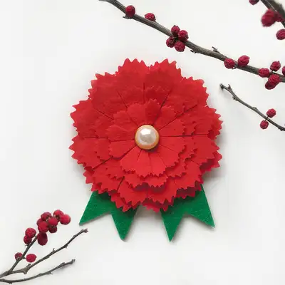 Felt Carnation Brooch DIY Kit (1 Set) - May Family Month, Parents' Day, Teachers' Day Gift