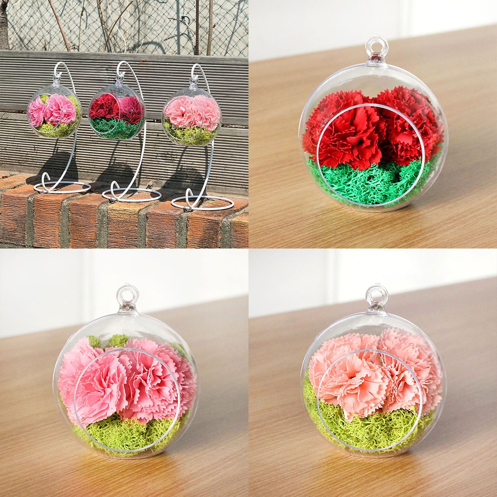 Flower Moss Hanging Ball DIY Set (Mother's Day Carnation Gift - Transparent Ball with Natural Moss)