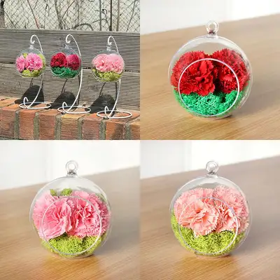 Flower Moss Hanging Ball DIY Set (Mother's Day Carnation Gift - Transparent Ball with Natural Moss)