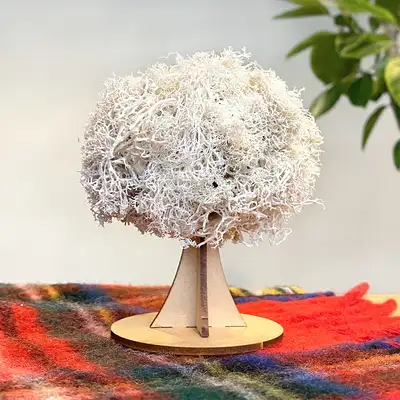 White Moss Tree Craft Kit 3D | Natural Moss Winter