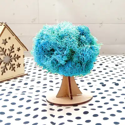 Aqua Moss Tree Craft Kit 3D Natural Moss