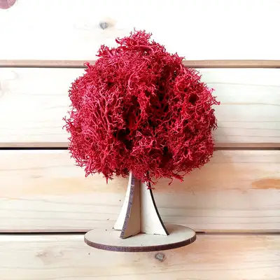 Burgundy Moss Tree DIY Kit | Natural Moss Autumn Maple