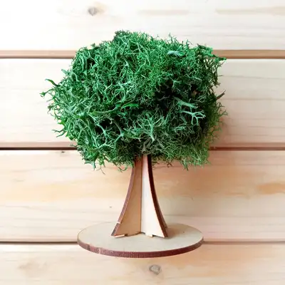 Green Moss Tree 3D Craft Kit | Natural Moss Summer