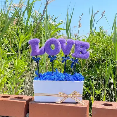 LOVE Purple Blue Moss Planter | Air-Purifying Plant