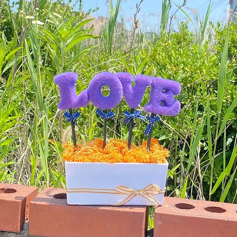 LOVE紫色 橙色苔蘚盆栽|馴鹿苔蘚