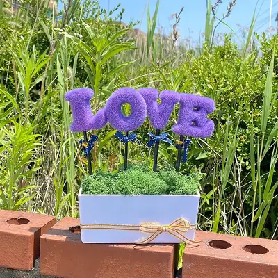 LOVE Purple Green Moss Potted Plant | Air-Purifying Plant