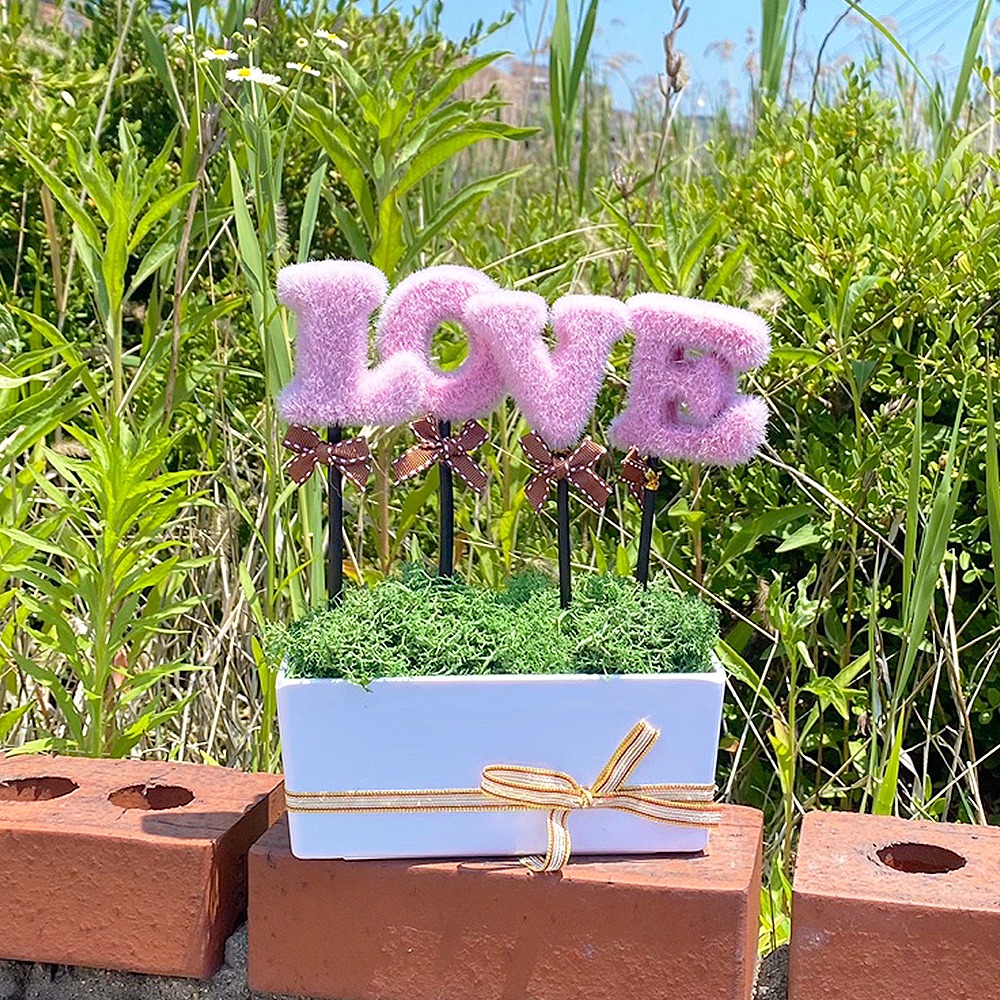 LOVE Pink Green Moss Planter | Air-Purifying Plant