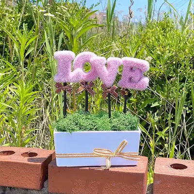 LOVE Pink Green Moss Planter | Air-Purifying Plant
