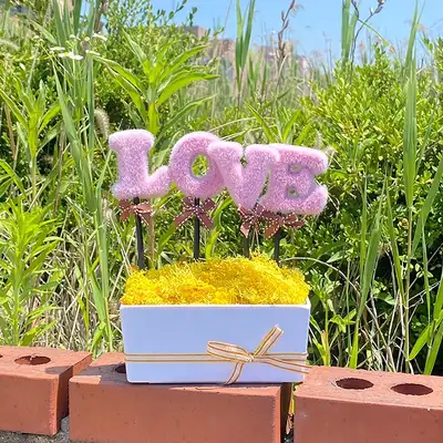 LOVE Pink Yellow Moss Planter | Air Purifying