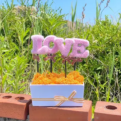 LOVE Pink Orange Moss Potted Plant | Reindeer Moss