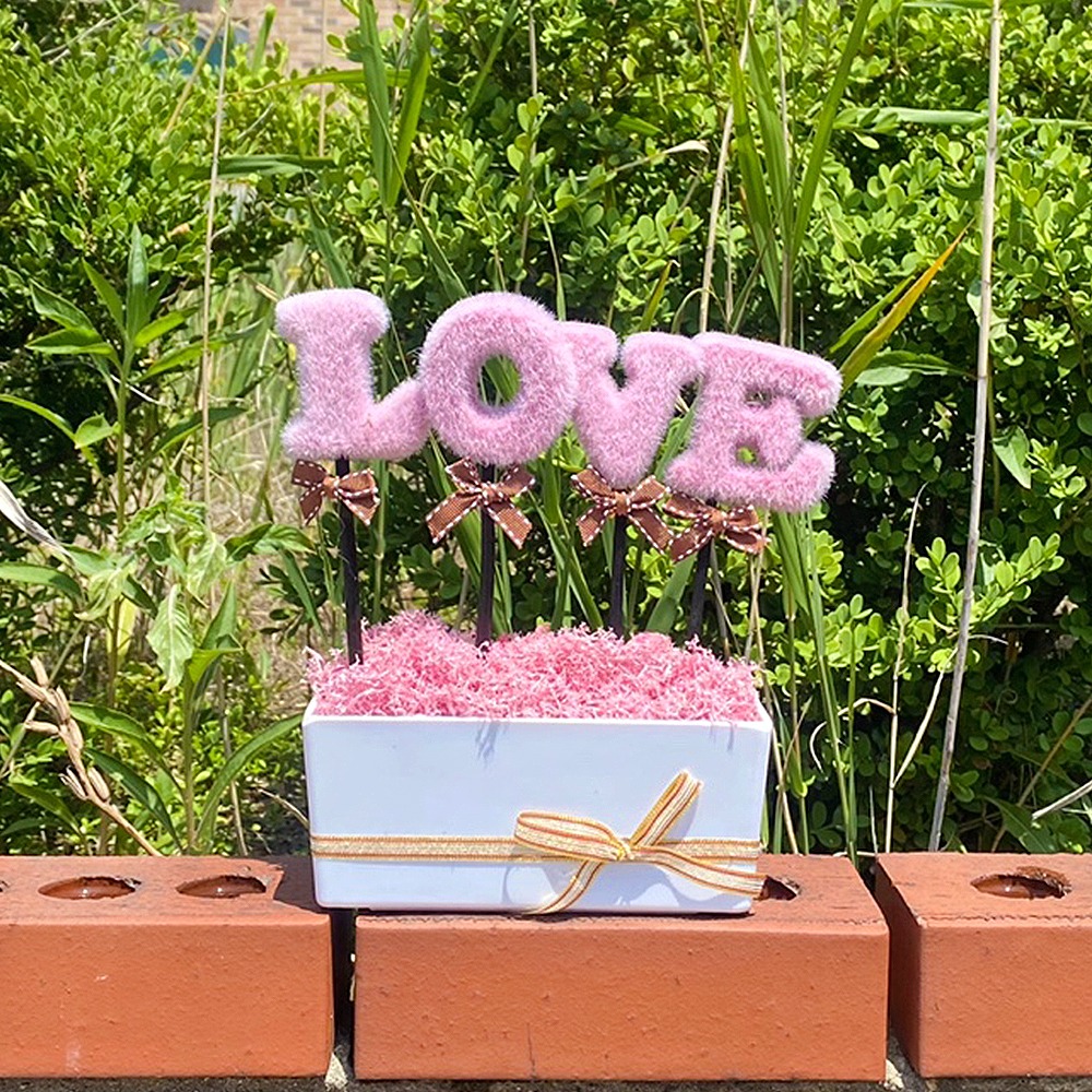 LOVE Pink Pink Moss Planter | Air-Purifying Plant