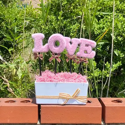LOVE Pink Pink Moss Planter | Air-Purifying Plant