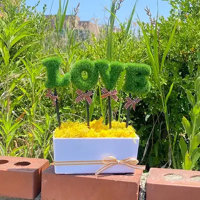 LOVE Green Yellow Moss Potted Plant | Reindeer Moss