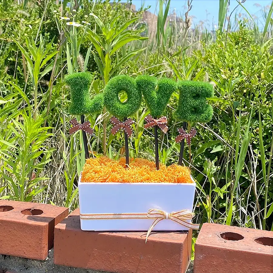 LOVE绿 橙色苔藓植物盆 l 空气净化