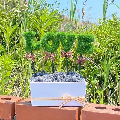 LOVE Green Gray Moss Planter | Natural Moss