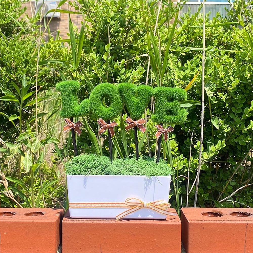LOVE Green Green Moss Planter | Natural Moss