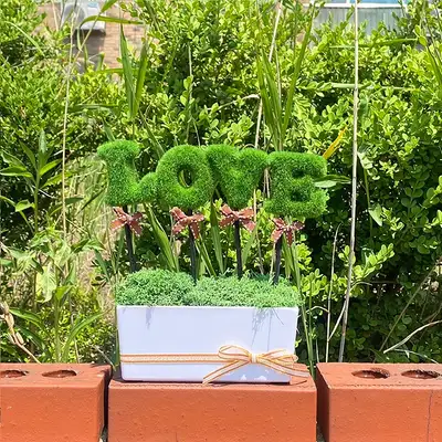 LOVE Green Green Moss Planter | Natural Moss