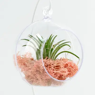 10cm Acrylic Clear Perforated Ball Round (Clear Ball Decorative Ball Hanging Ball Terrarium DIY Material Tree Ornament Prop)