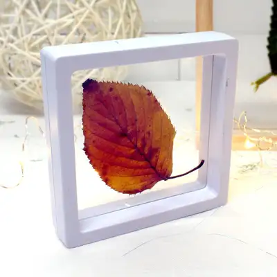 S Transparent Pressed Flower Frame | DIY Craft Mini Acrylic Frame