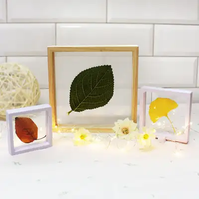Pressed Flower Frame Wood Frame DIY Acrylic