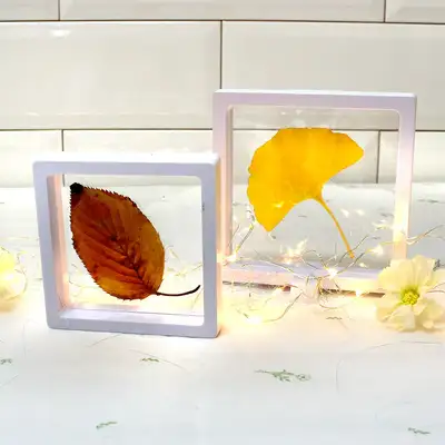 Transparent Pressed Flower Frame | DIY Craft Mini Acrylic Frame