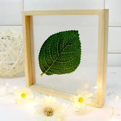Slide Wood Picture Frame DIY - Wooden Assembly Craft