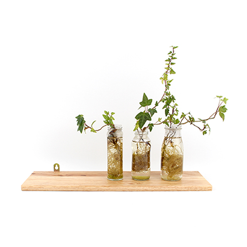50cm Solid Wood Straight Wall Shelf | Wooden Linear Wall Shelf Home Decor