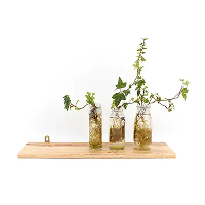 60cm Solid Wood Straight Wall Shelf | Natural Wood Linear Wall Shelf Interior